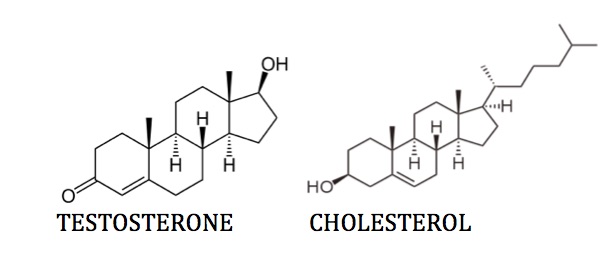 Optimizing Testosterone Levels Arc Integrated Medicine